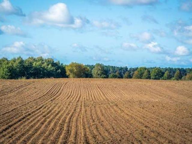 Terreno in vendita a Fontaniva, Veneto
