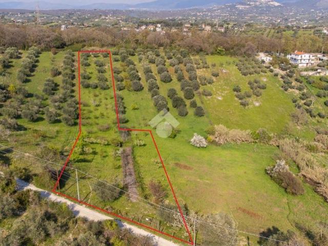 Terreno in vendita a Roma Capitale, Lazio