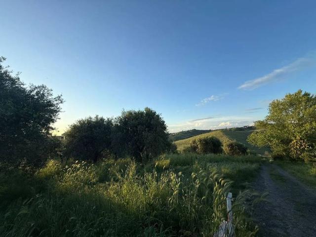 Terreno in vendita a Roma Capitale, Lazio