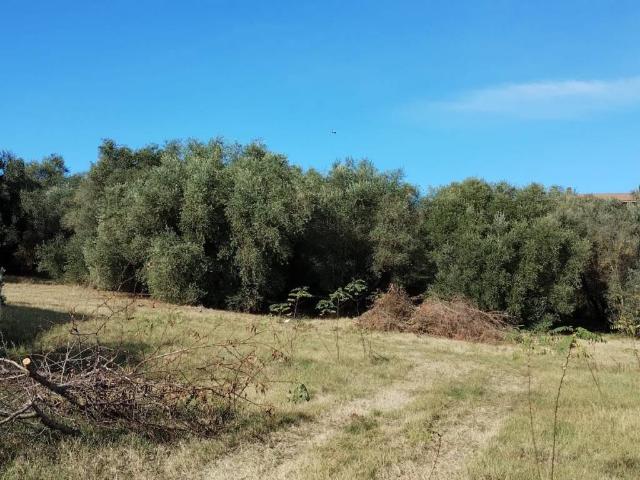 Terreno in vendita a Santa Lucia, Roma Capitale