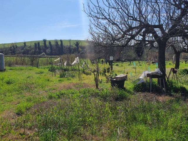 Terreno in vendita a Guidonia Montecelio, Roma Capitale