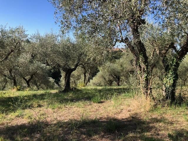 Terreno in vendita a Tor Lupara, Fonte Nuova
