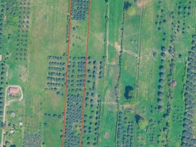 Terreno in vendita a Roma Capitale, Lazio