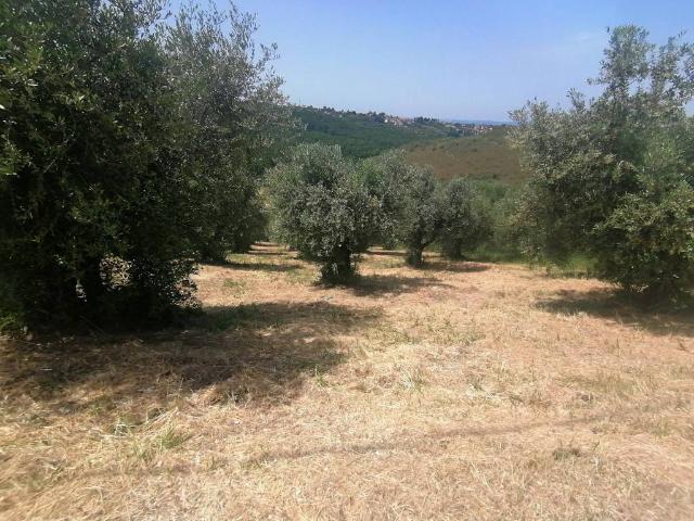 Terreno in vendita a Roma Capitale, Lazio