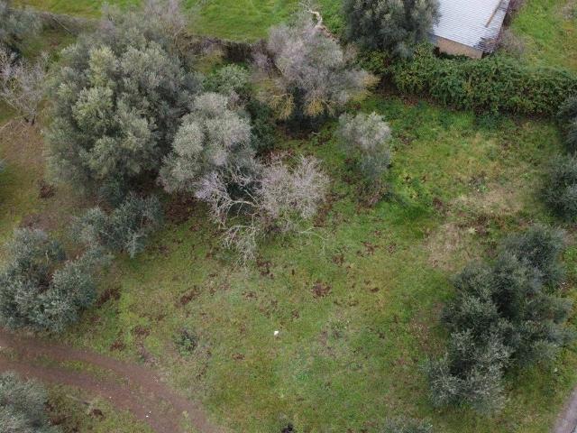 Terreno in vendita a Tor Lupara, Roma Capitale