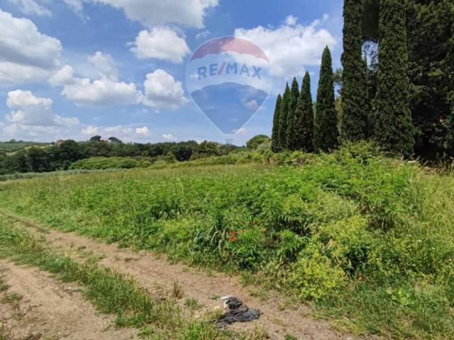 Terreno in vendita a Tor Lupara, Roma Capitale