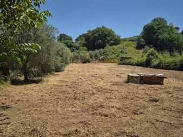 Terreno in vendita a Roma Capitale, Lazio