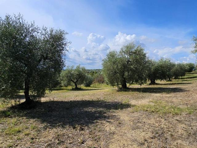 Terreno in vendita a Santa Lucia, Fonte Nuova