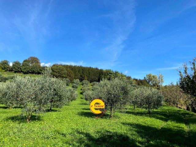 Terreno in vendita a Fonte Alto, Veneto