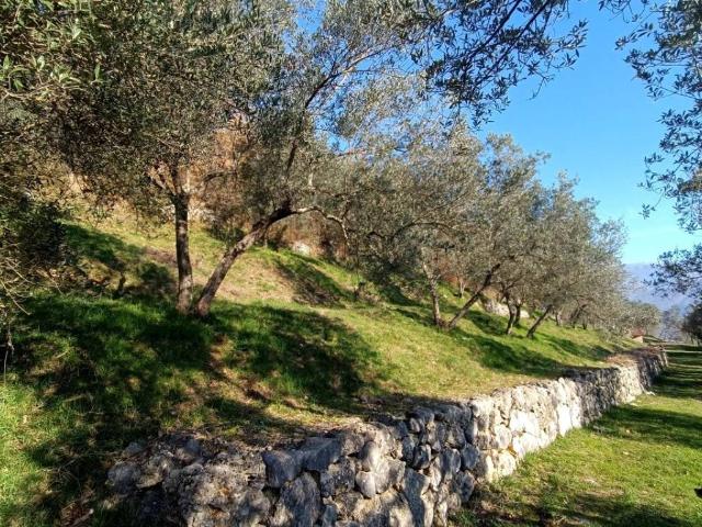 Terreno in vendita a Fontechiari, Lazio