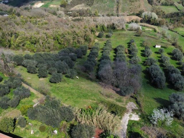 Terreno in vendita a Forano Sabino, Lazio