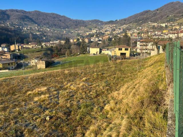 Terreno in vendita a Foresto Sparso, Lombardia