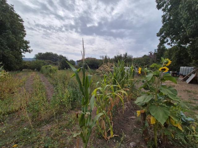 Terreno in vendita a Forino, Campania