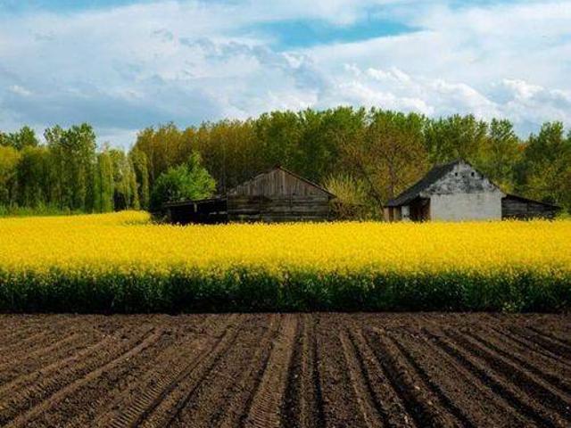 Terreno in vendita a Petrignone, Forlì