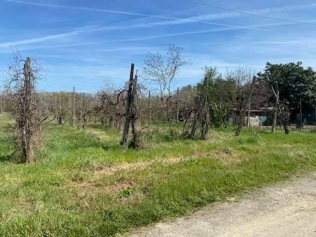 Terreno in vendita a Unione di Comuni della Romagna Forlivese, Quattro