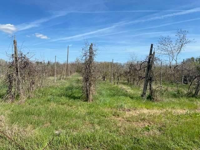 Terreno in vendita a Unione di Comuni della Romagna Forlivese, Quattro