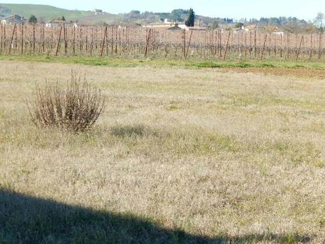 Terreno in vendita a Unione di Comuni della Romagna Forlivese, Quattro