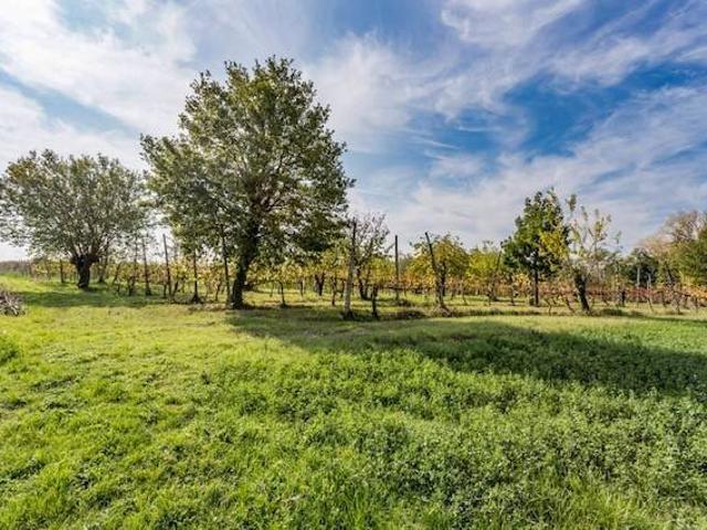 Terreno in vendita a Villanova, Forlì
