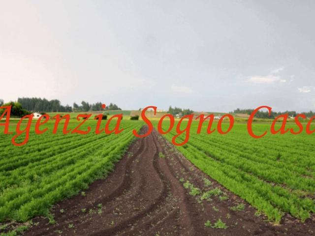Terreno in vendita a Unione di Comuni della Romagna Forlivese, Quattro