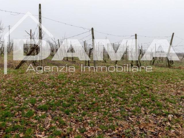 Terreno in vendita a Unione di Comuni della Romagna Forlivese, Quattro