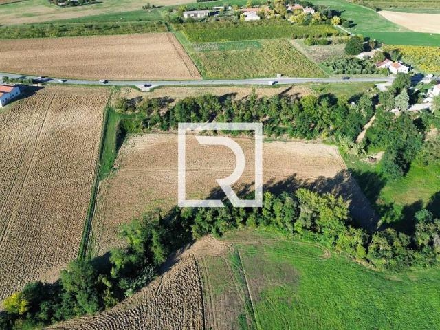 Terreno in vendita a Unione di Comuni della Romagna Forlivese, Quattro