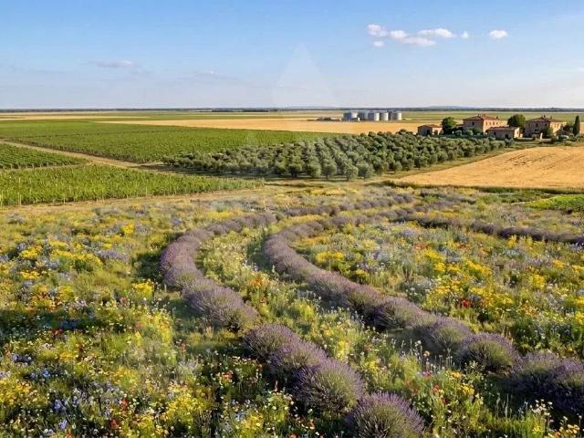 Terreno in vendita a Unione di Comuni della Romagna Forlivese, Quattro