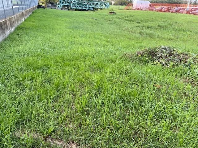 Terreno in vendita a Unione di Comuni della Romagna Forlivese, Quattro