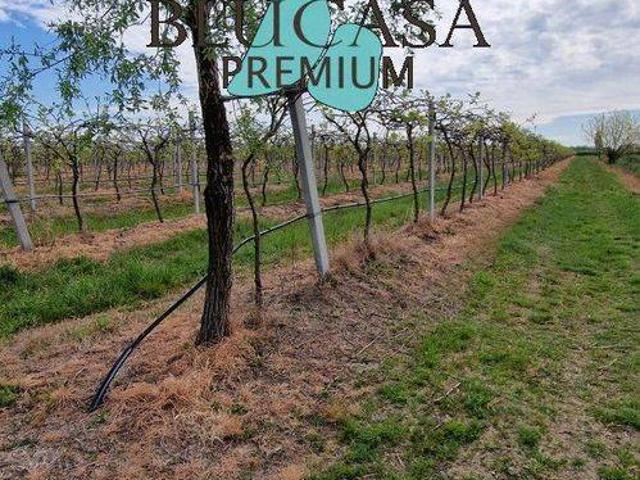 Terreno in vendita a Unione di Comuni della Romagna Forlivese, Ravenna