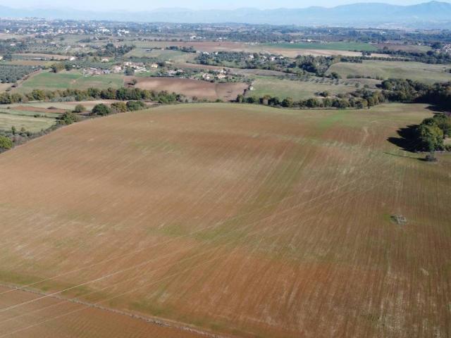 Terreno in vendita a Roma Capitale, Lazio
