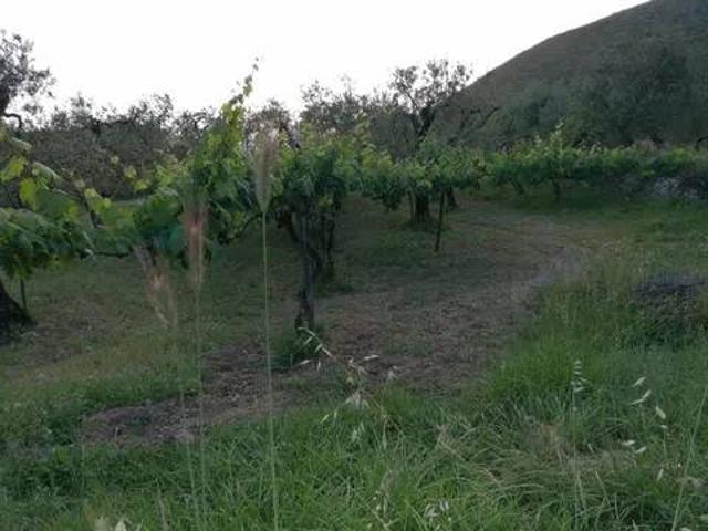 Terreno in vendita a Formia, Lazio