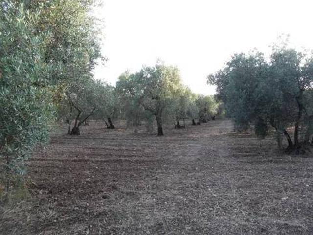 Terreno in vendita a Gianola, Formia