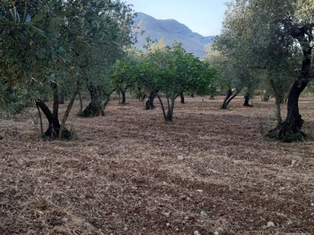 Terreno in vendita a Gianola, Formia