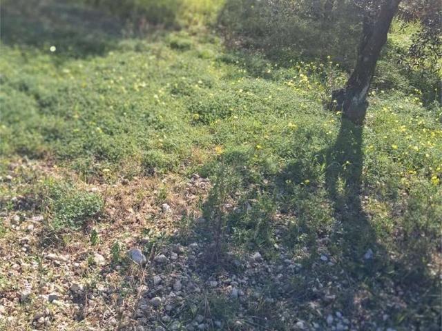 Terreno in vendita a Formia, Lazio