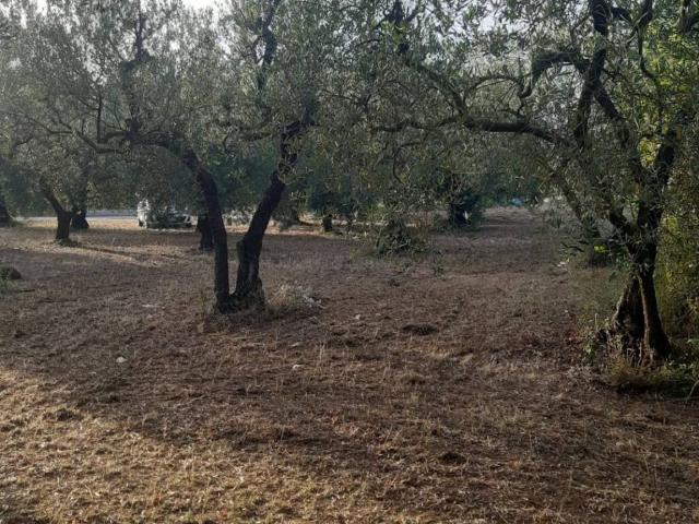 Terreno in vendita a Gianola, Formia