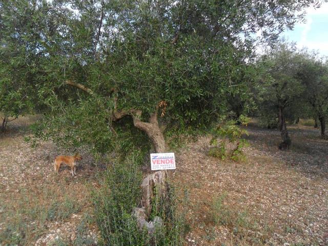 Terreno in vendita a Gianola, Formia