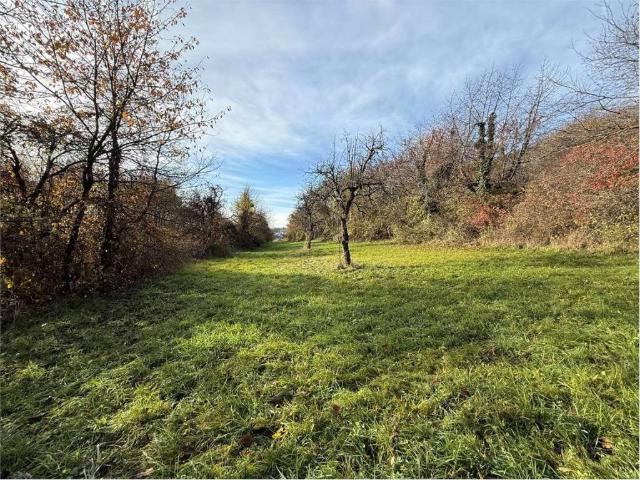 Terreno in vendita a Comunità Alta Valsugana e Bersntol, Fornace