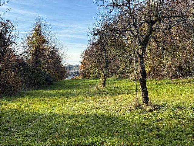 Terreno in vendita a Comunità Alta Valsugana e Bersntol, Fornace