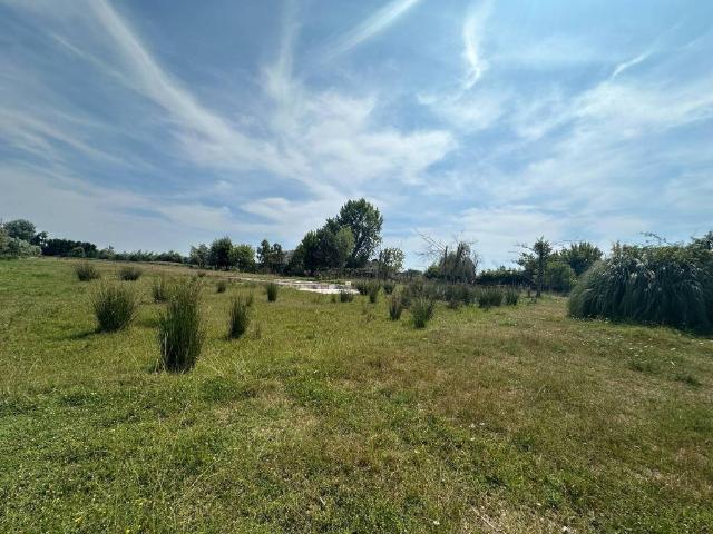 Terreno in vendita a Seravezza, Toscana