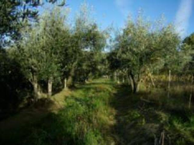 Terreno in vendita a Unione di comuni Montana Lunigiana, Fosdinovo