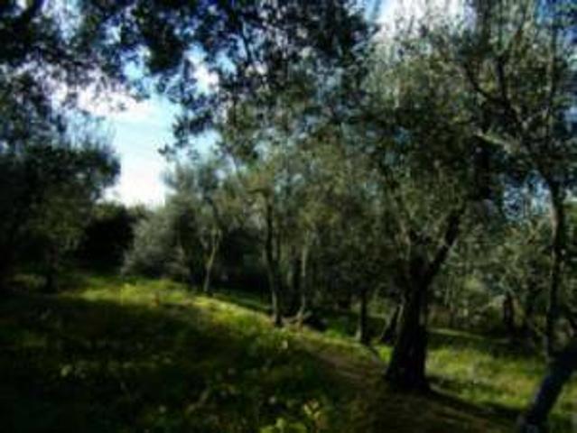 Terreno in vendita a Unione di comuni Montana Lunigiana, Fosdinovo