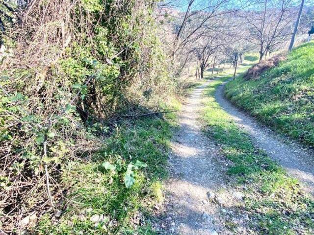 Terreno in vendita a Unione di comuni Montana Lunigiana, Fosdinovo