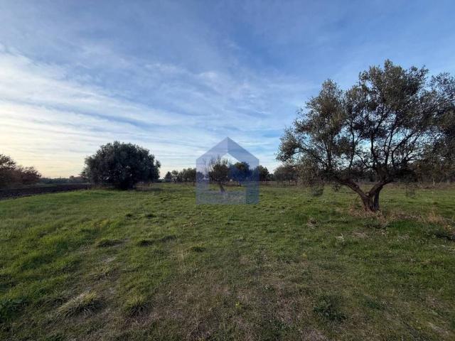 Terreno in vendita a Fossacesia, Abruzzo