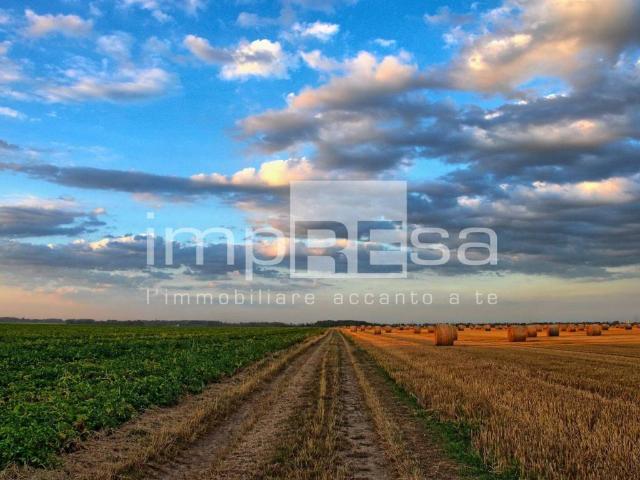 Terreno in vendita a Fossalta Di Piave, Veneto