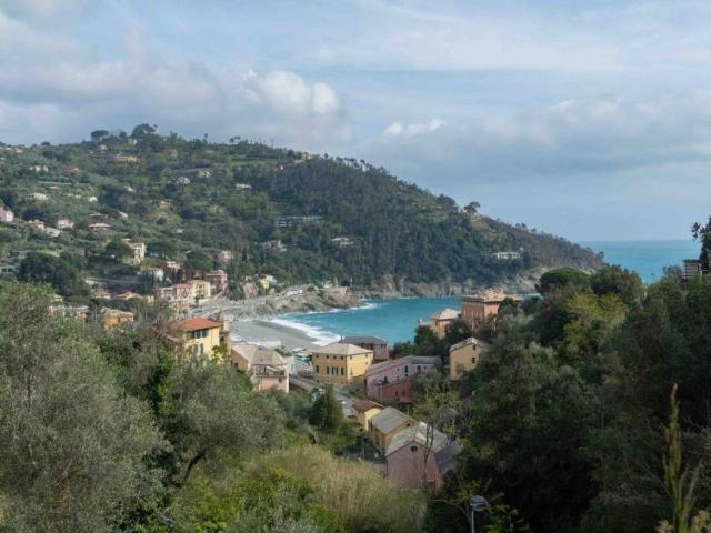 Terreno in vendita a Framura, Liguria