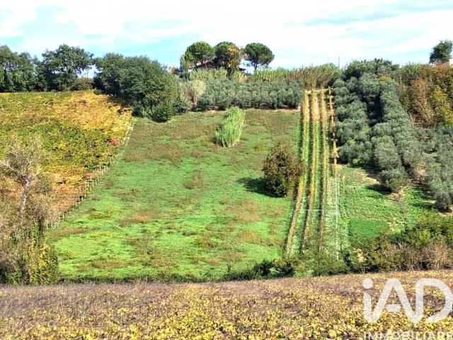 Terreno in vendita a Vallone, Francavilla Al Mare