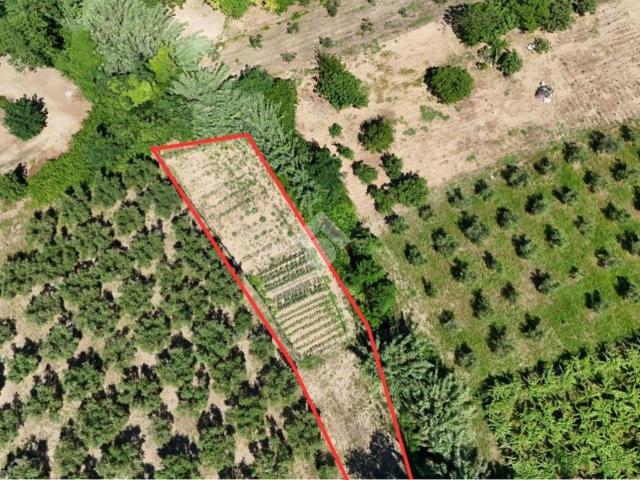 Terreno in vendita a Francavilla Al Mare, Abruzzo