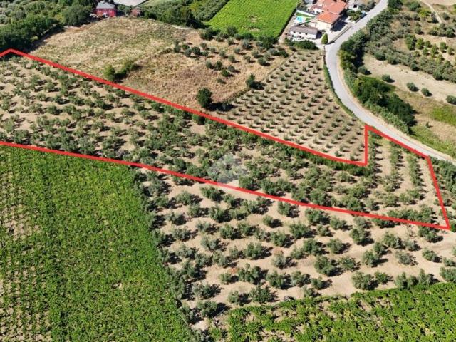 Terreno in vendita a Francavilla Al Mare, Abruzzo