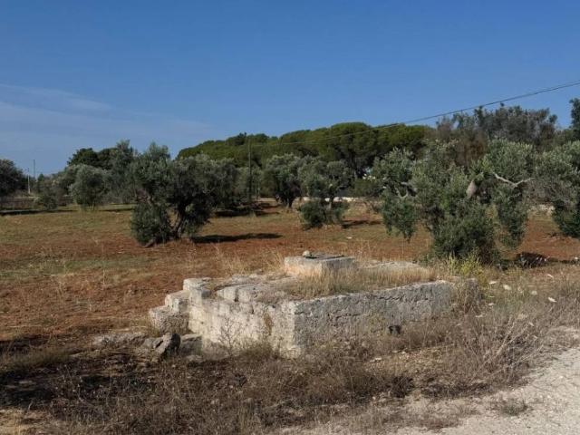 Terreno in vendita a Puglia, Brindisi