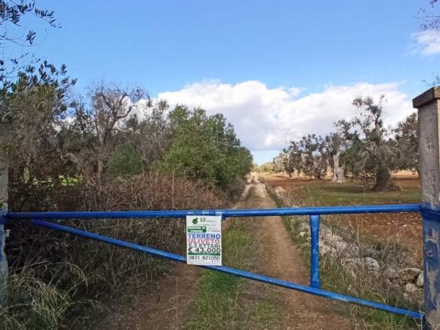 Terreno in vendita a Puglia, Brindisi