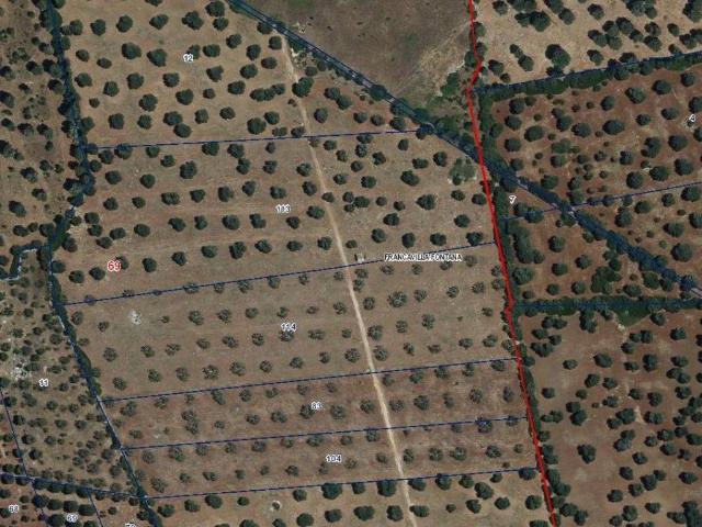 Terreno in vendita a Puglia, Brindisi